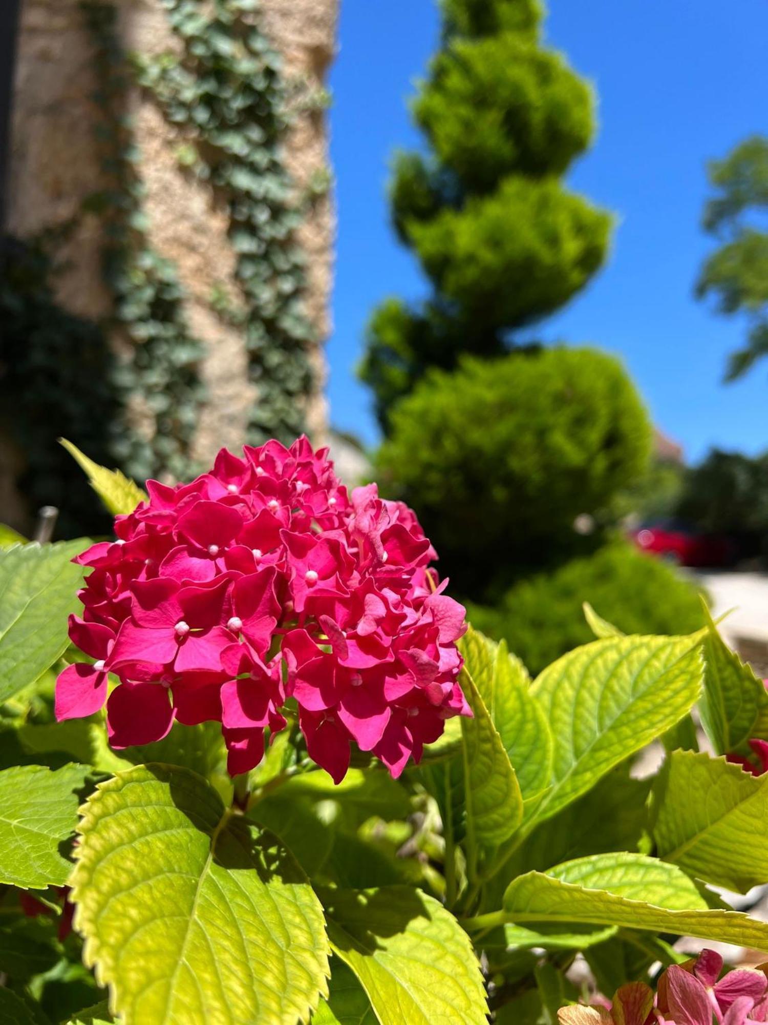 Hotel Les Vieilles Tours Rocamadour Kültér fotó