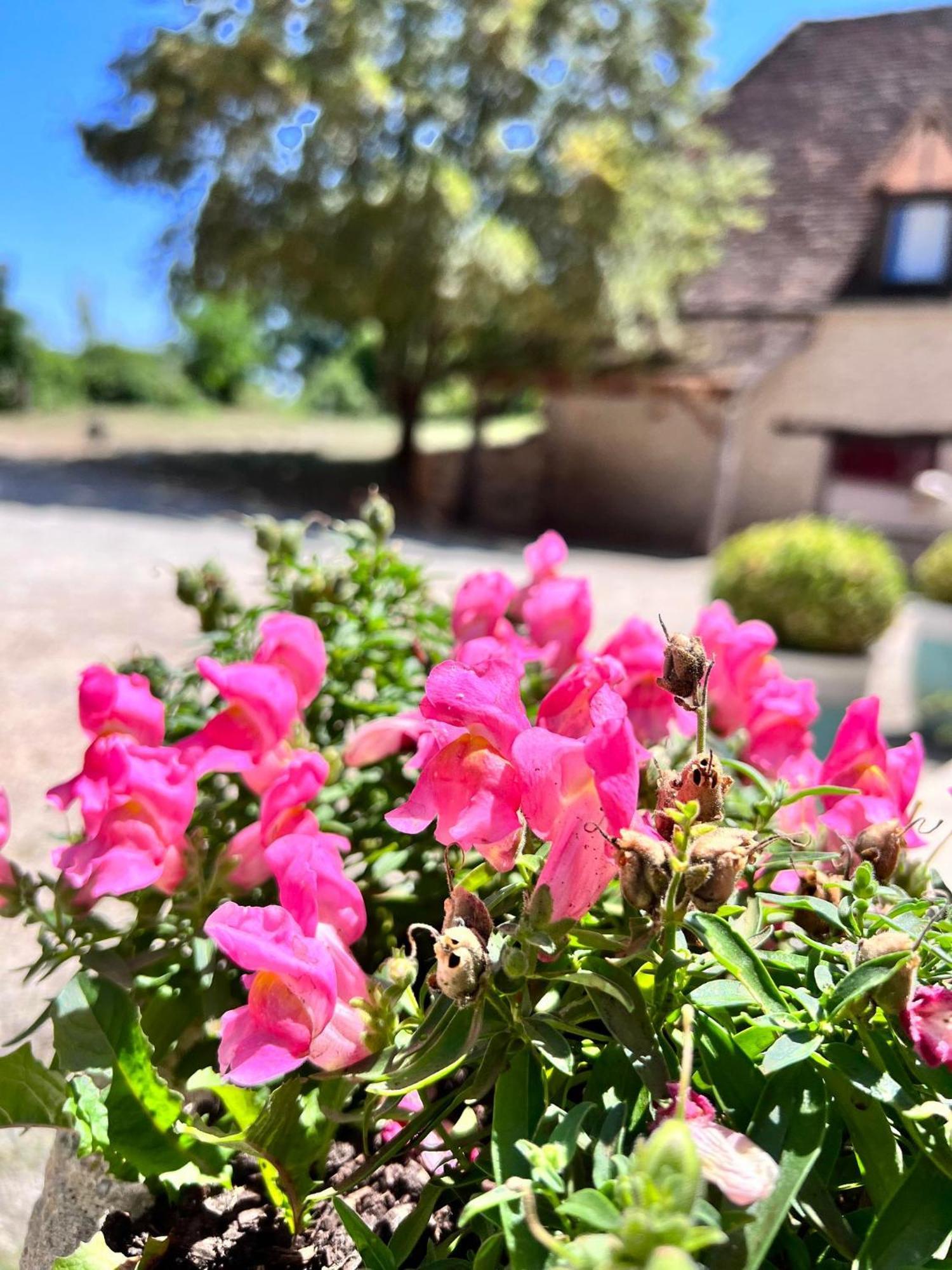 Hotel Les Vieilles Tours Rocamadour Kültér fotó
